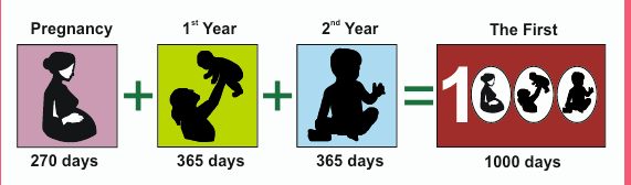 Pregnancy 270 days plus first year 365 days plus second year 365 days equals the first 1000 days