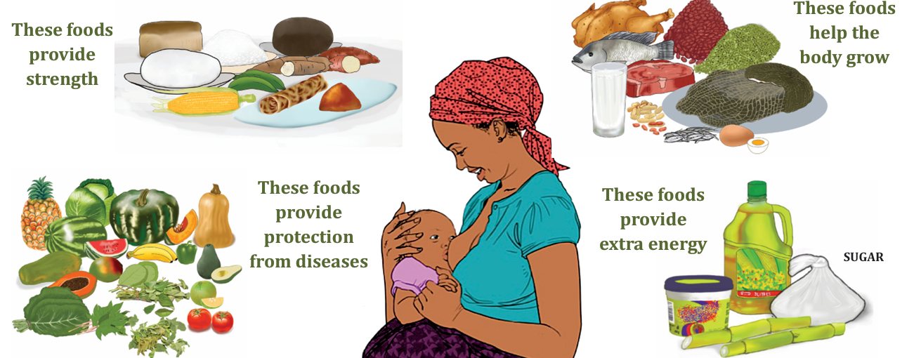 Foods while breastfeeding: foods that provide strength, help the body grow, provide protection from diseases and provide extra energy