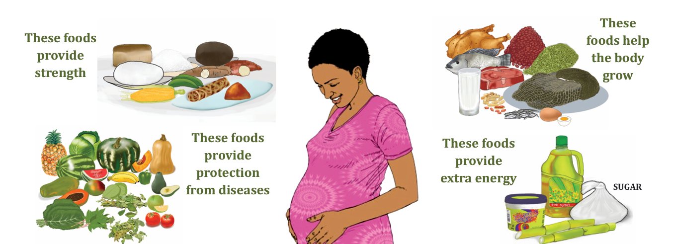 Foods during pregnancy: foods that provide strength, help the body grow, provide protection from diseases and provide extra energy