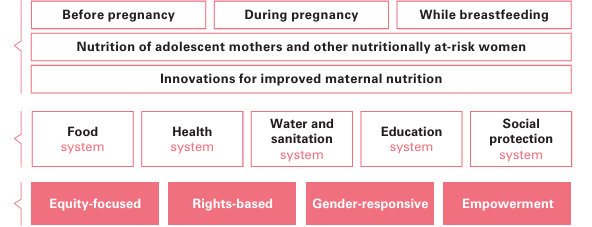 Framework: nutrition before pregnancy, during pregnancy and while breastfeeding, for adolescent mothers and at-risk women, supported by food, health, water and sanitation, education and social protection systems; equity-focused, rights-based, gender-responsive and empowering
